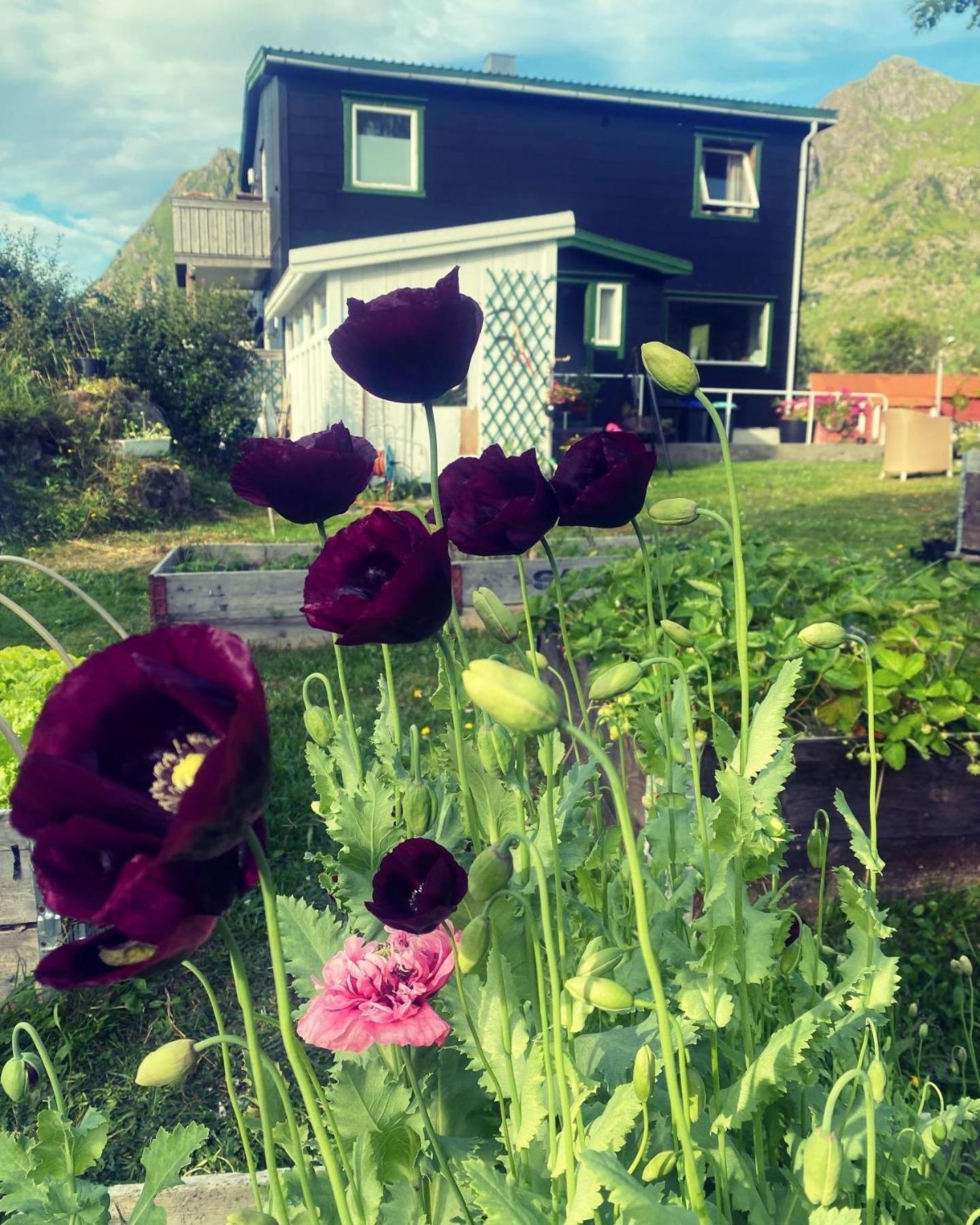 Valberg Gjestegard 외부 사진